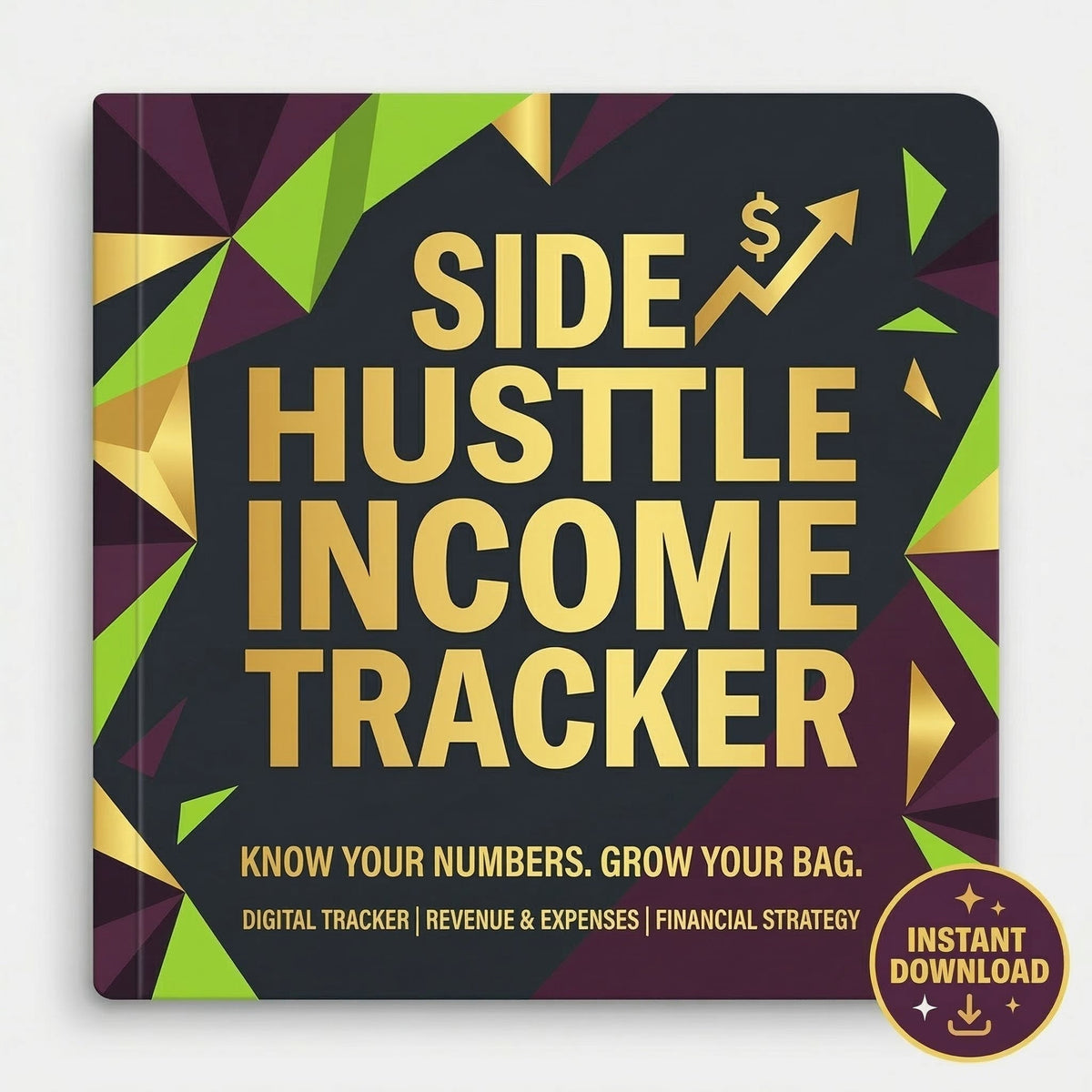 Side Hustle Income Tracker Digital Finance Spreadsheet for Entrepreneurs